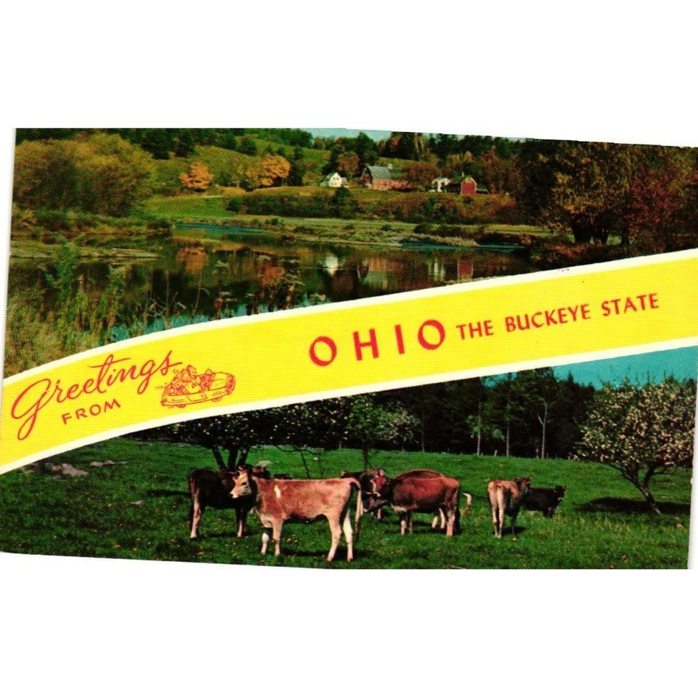 Vintage Greetings From Ohio The Buckeye State Lusterchrome Postcard Tichnor Bros