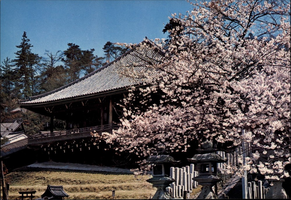 Todaiji Temple Nara Japan vintage postcard c218