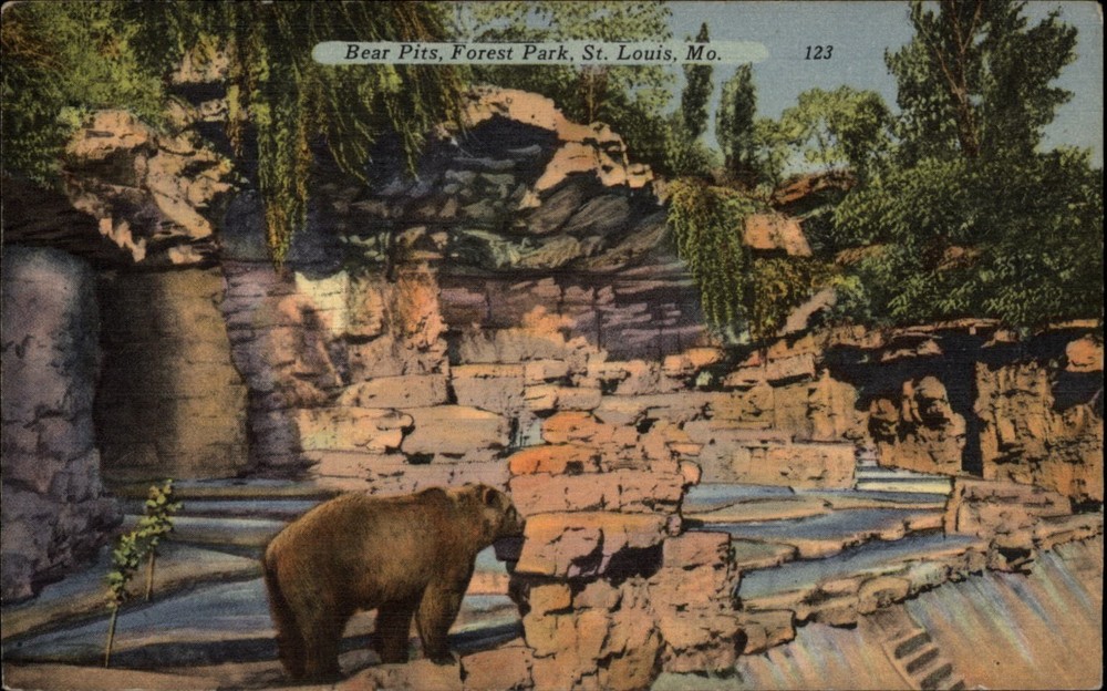 Bear Pits Forest Park St Louis Missouri vintage postcard x302