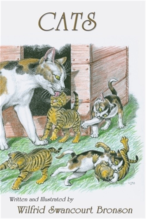 Cats (Hardback or Cased Book)