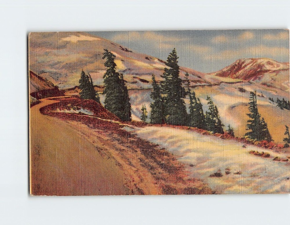 Postcard Timberline In The Rockies Loveland Pass Colorado