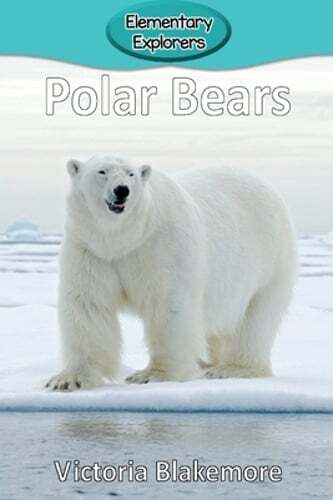 Polar Bears by Victoria Blakemore: New
