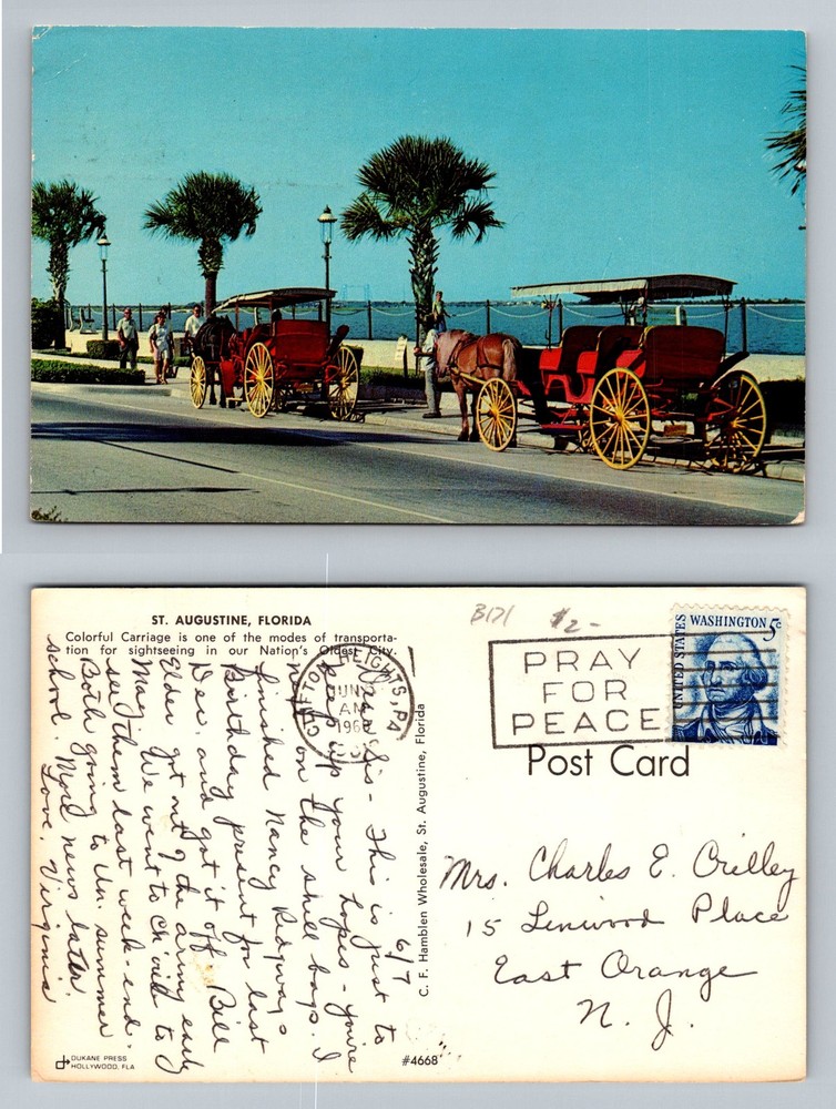 St Augustine, FL-Florida, Sightseeing Horses & Carriages  Vintage c1960 Postcard
