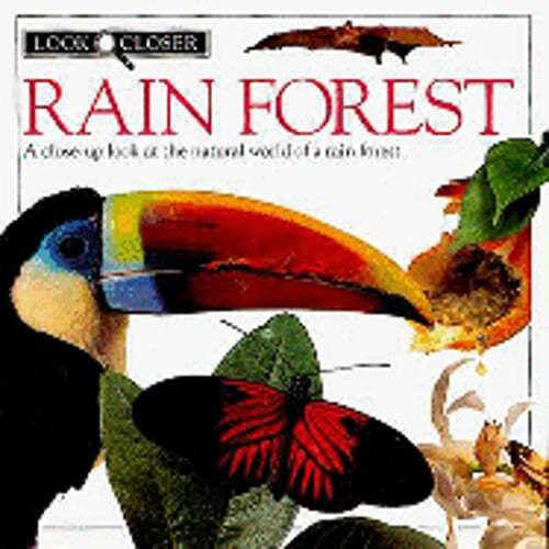 Rain Forest by Barbara Taylor: Used