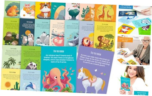 40 Animal Fun Fact Postcards - Bulk Thinking of You Postcard Pack for Kids,