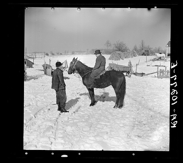 McLeansboro Illinois Oscar Gaither Horse Sale Neighbor 1937 Winter Farm