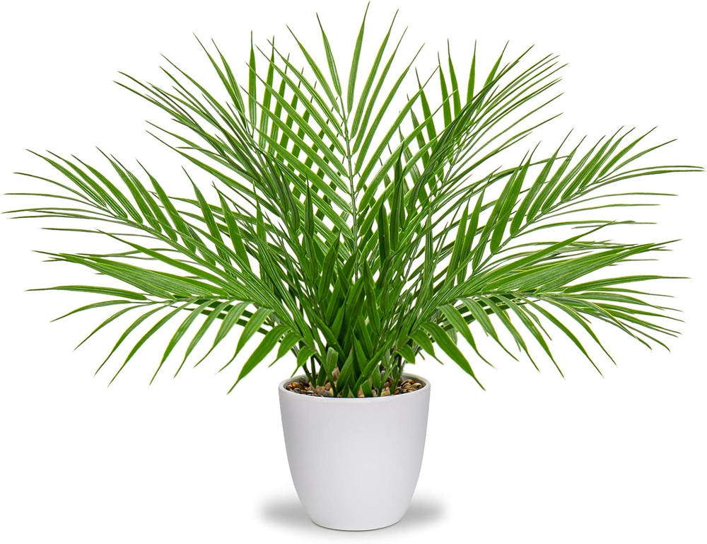 15-Inch Fake Palm Plant with White Pot - Real Touch Tropical Faux Decor
