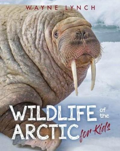 Wayne Lynch Wildlife of the Arctic for Kids (Paperback)Another great item from Rarewaves USA | Free delivery!