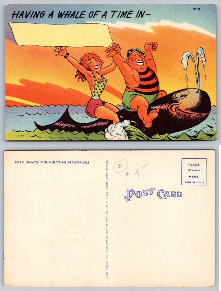 Having a Whale of a Time Humorous Vintage Cartoon Postcard Tichnor Bros.