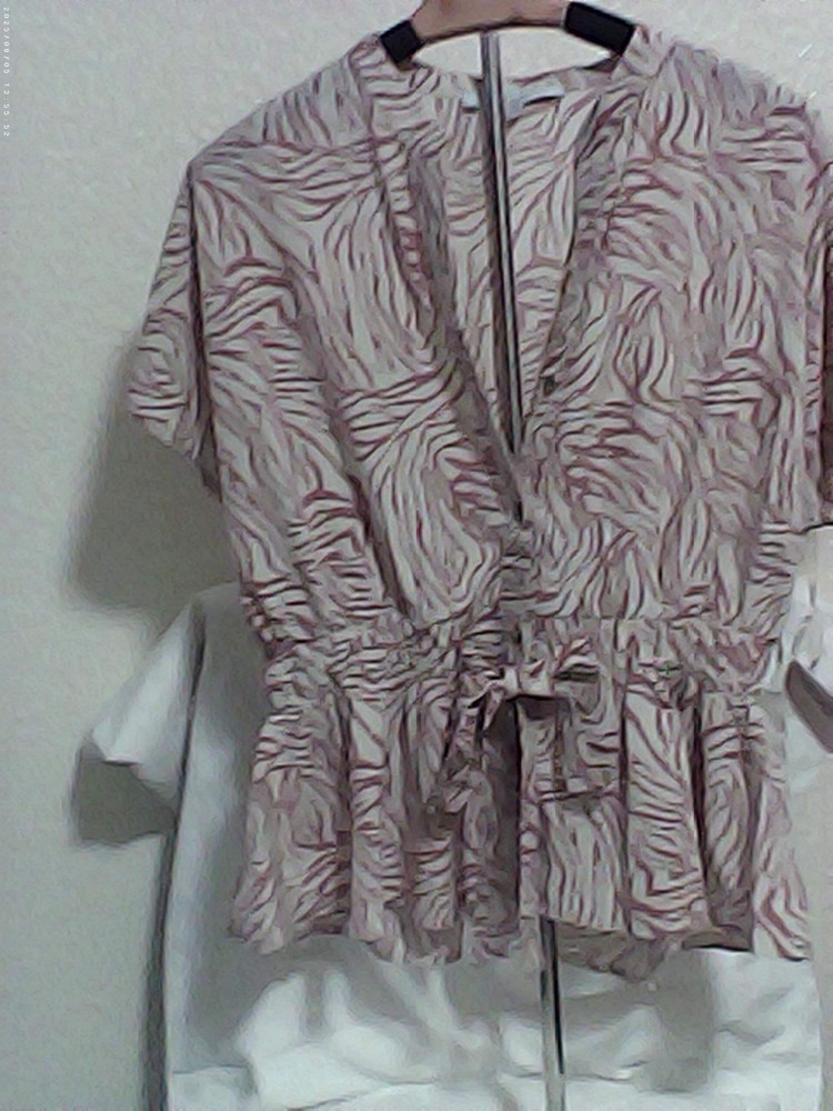 womens short sleeve blouse size large