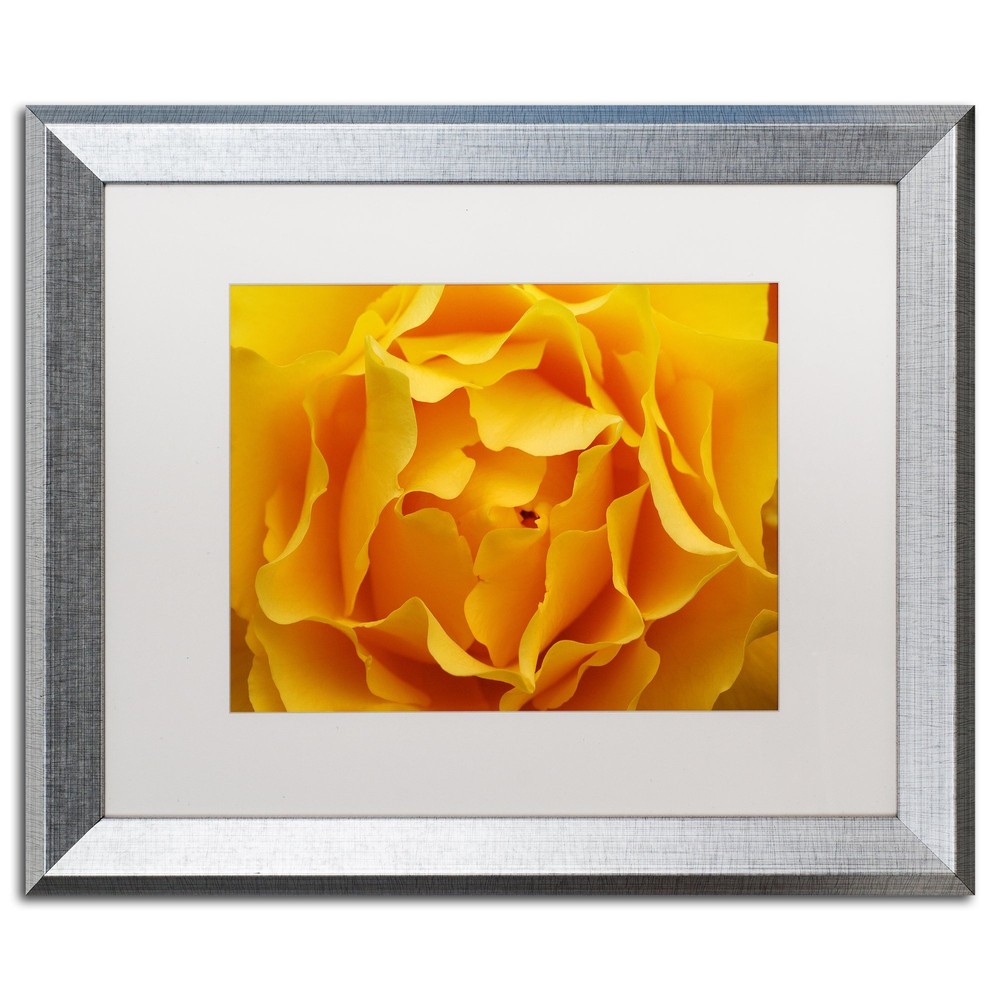 Kurt Shaffer Hypnotic Yellow Rose Art Print 16x20 Silver Frame White Matte
