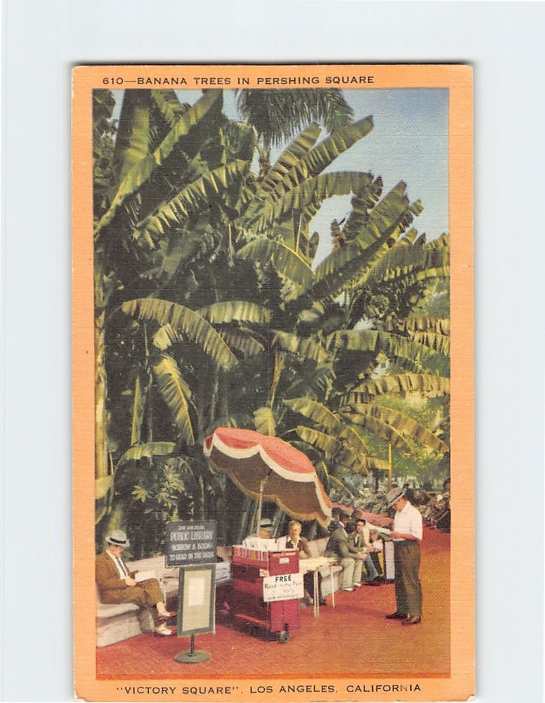 Postcard Banana Tree Pershing Square Victory Square Los Angeles California USA