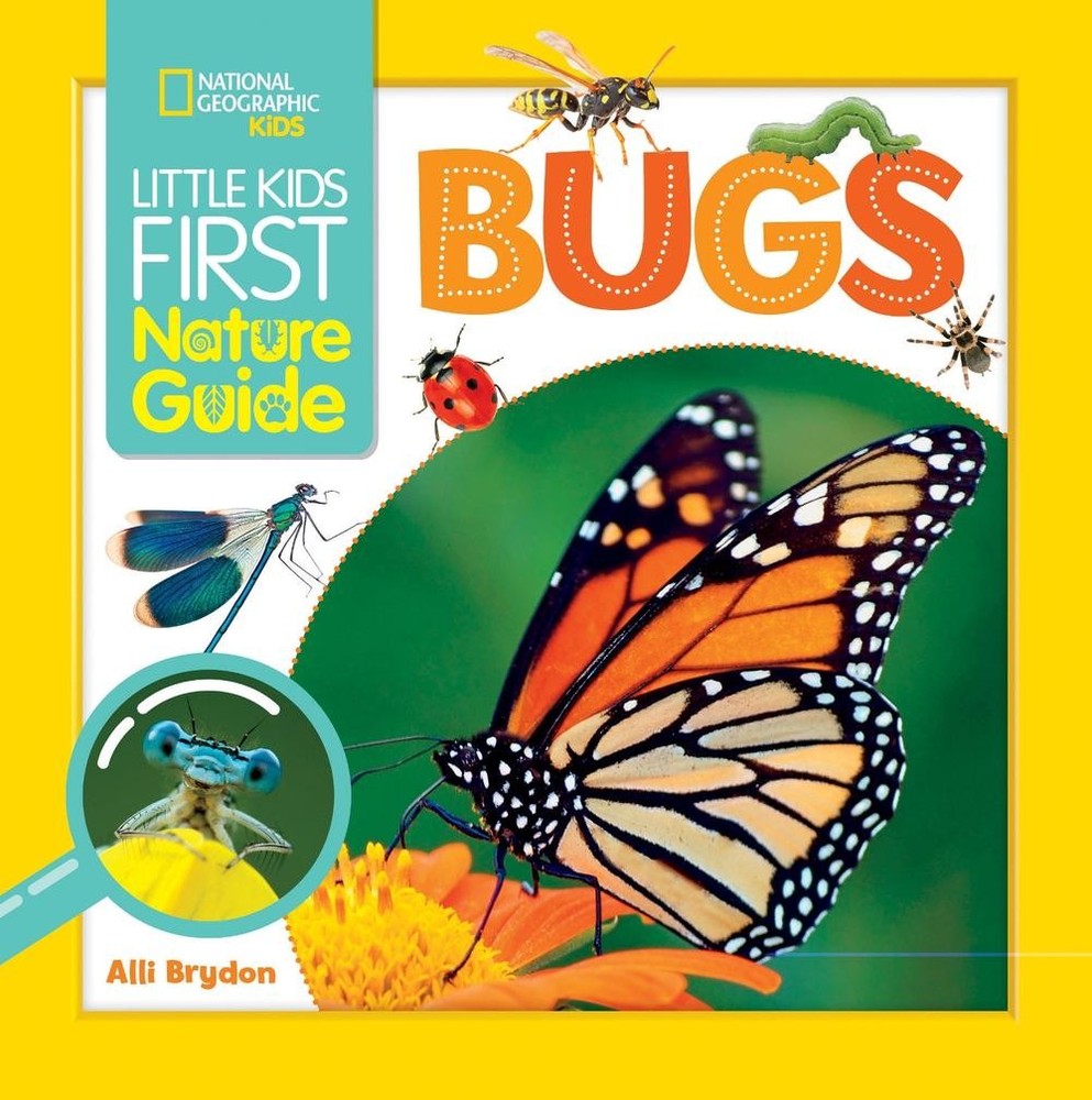 Little Kids First Nature Guide Bugs by Alli Brydon (English) Hardcover Book