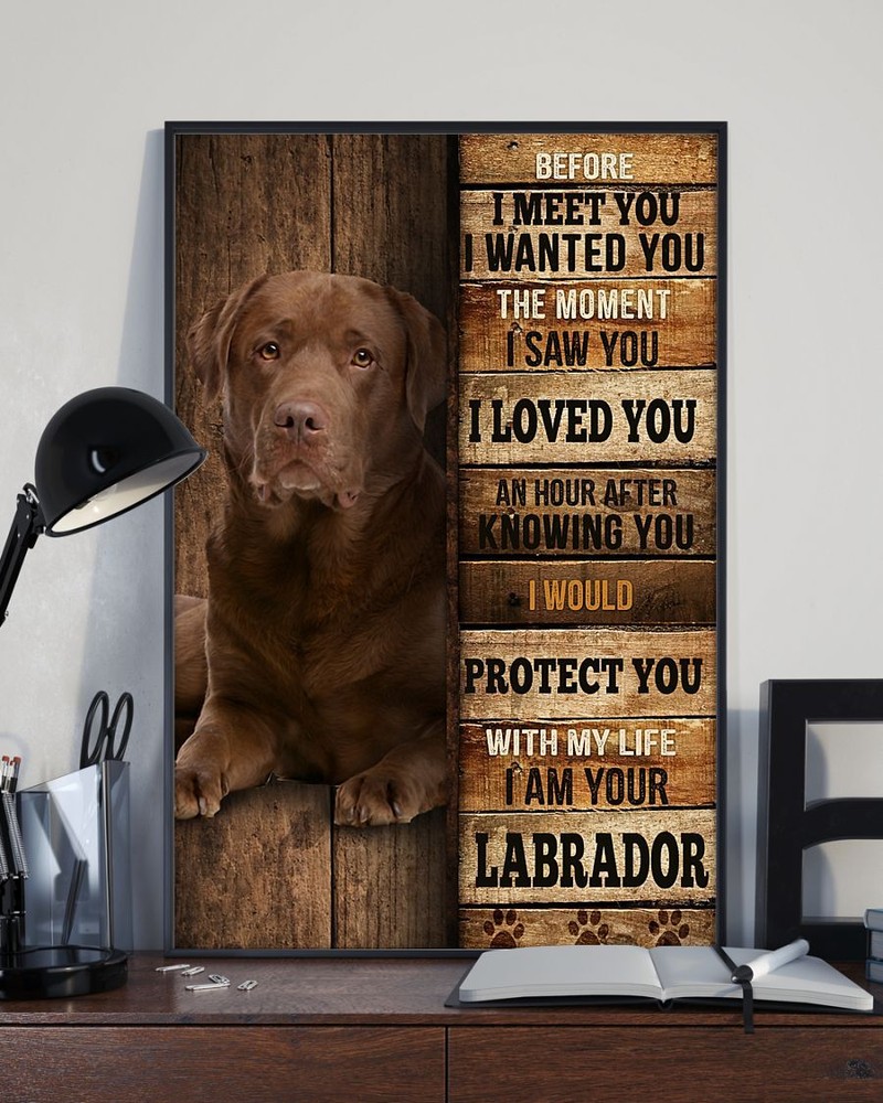 Before I Meet You I Wanted You I Loved You I Am Your Labrador Dog Poster