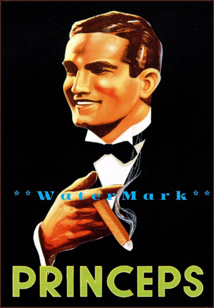 Vintage Cigar Princeps 1920 Stylish Man Fashion Art Print Decor