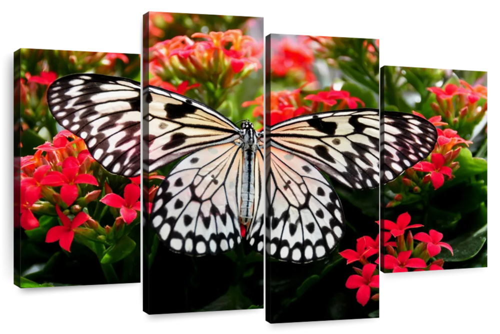 Pretty Butterfly Wall Art