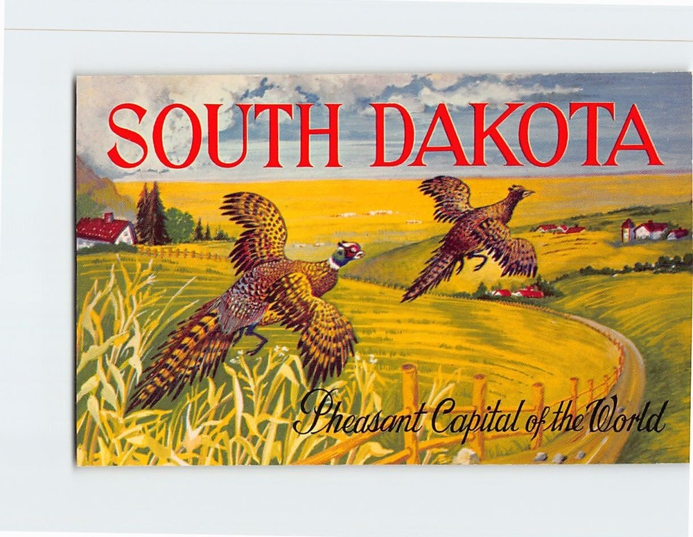 Postcard  South Dakota 