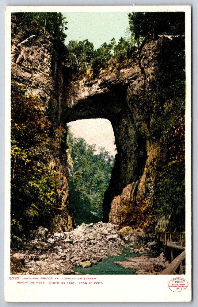 Detroit Pub~Natural Bridge Virginia~Looking Up Stream Scene~Vintage Postcard