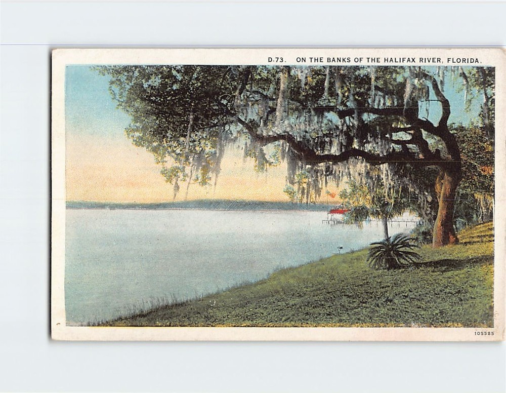 Postcard On the Banks of the Halifax River Florida USA