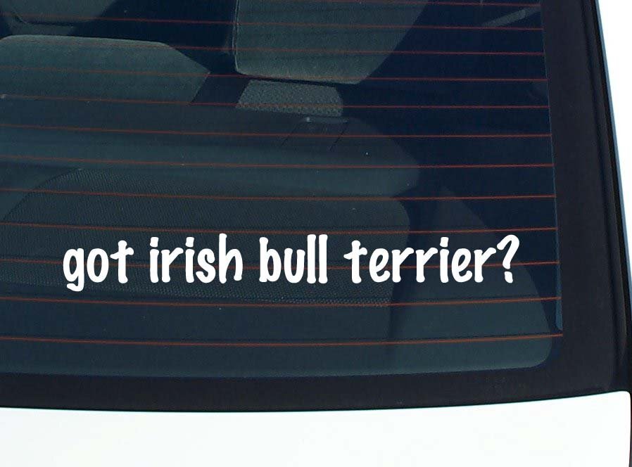 got irish bull terrier? CAR DECAL BUMPER STICKER VINYL FUNNY JOKE WINDOW