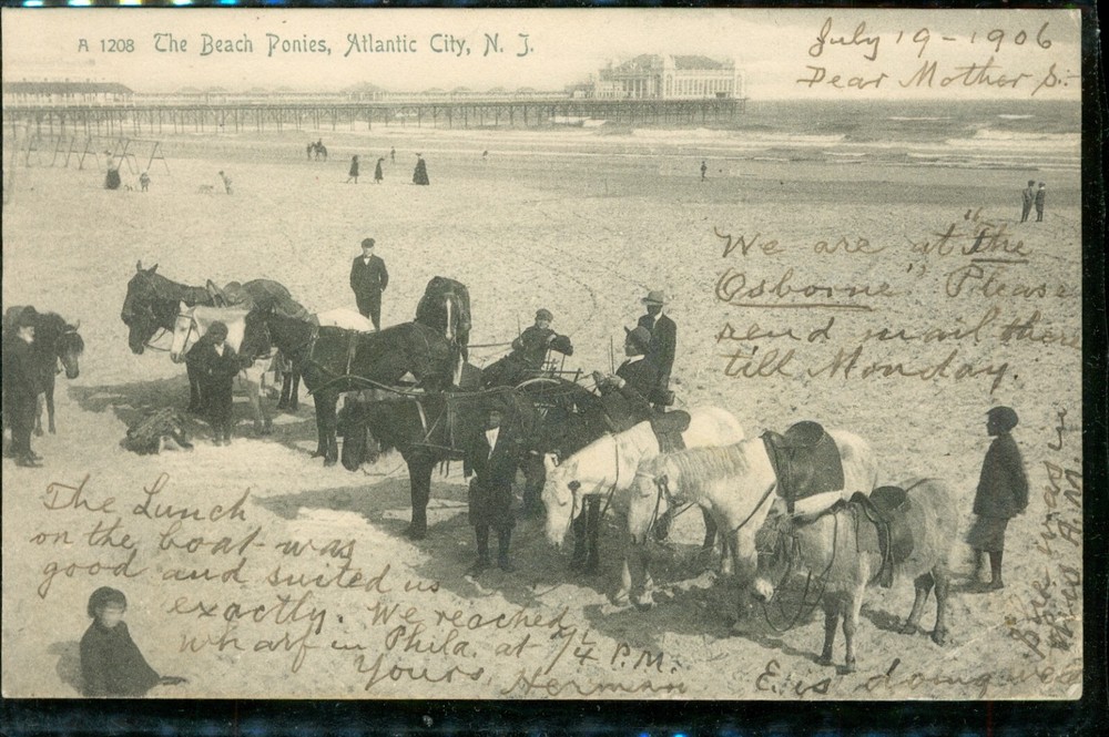 The Beach Ponies Atlantic City New Jersey NJ Postcard UDB 1906 Men on Horses