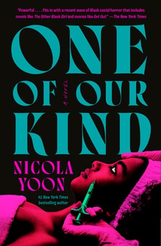 One of Our Kind by Nicola Yoon: Used