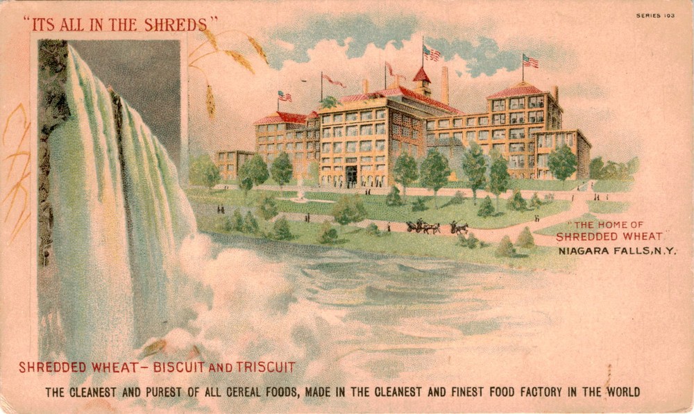 NIAGARA FALLS, N.Y. Postcard