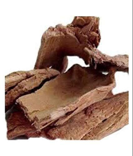 Albizia Lebbeck Bark Whole (Shirisha Chilka) - Herbal Use, Crafts