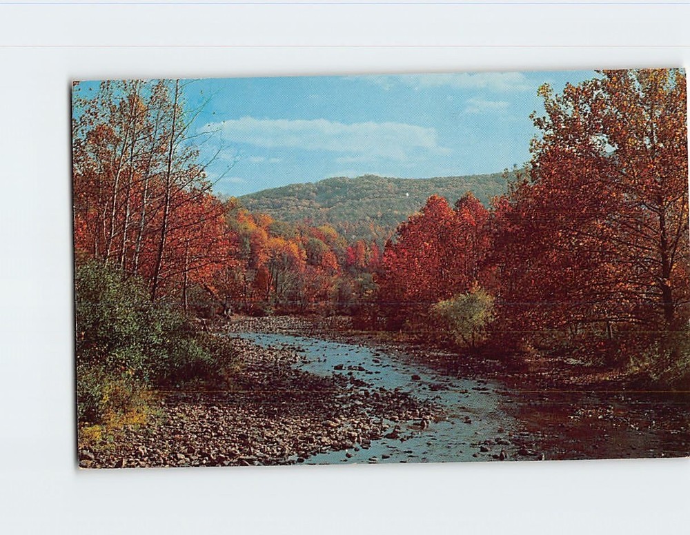 Postcard Gorgeous Fall Scene In the Ozarks USA