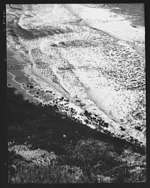 Half Moon Bay,California,CA,San Mateo County,Farm Security Administration,FSA,2