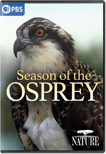 NATURE: Season Of The Osprey [New DVD]