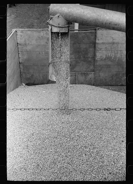 Photo:Grundy County Iowa 1939 Shelled Corn Granary Storage Farm Security