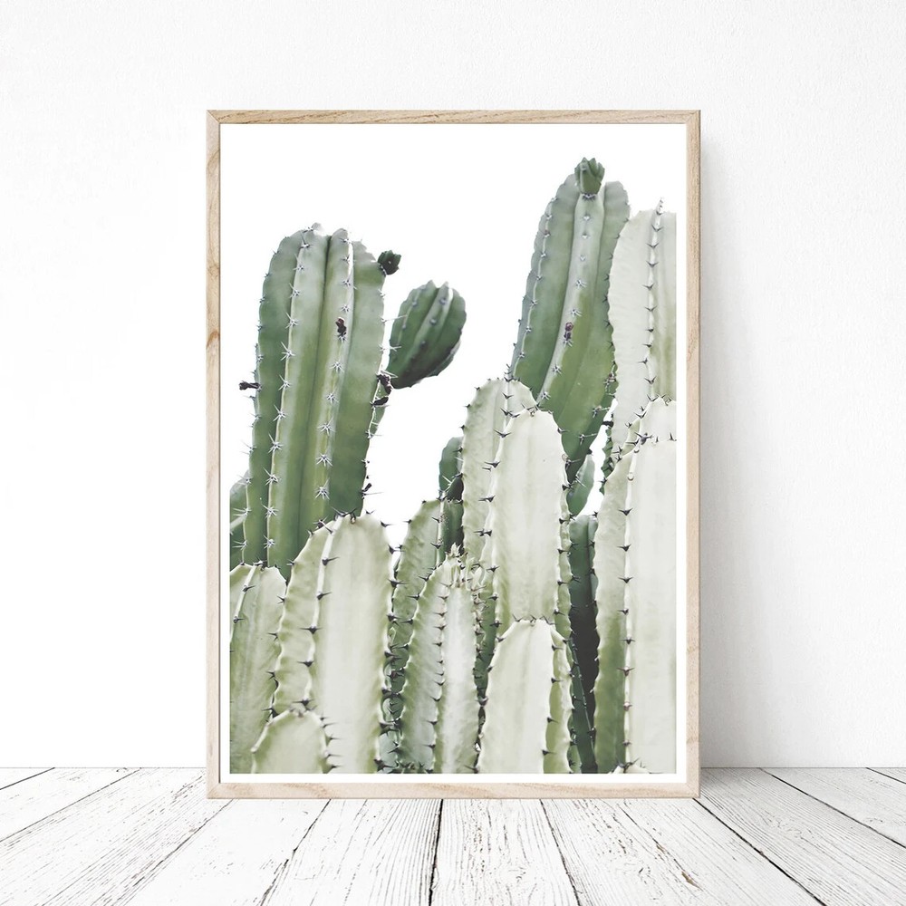 Cactus Closeup View Wall Art Poster Premium Quality Choose your Size