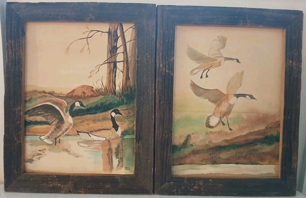 Wood Framed Watercolor Paintings Wildlife Bird Nature Art Michigan Rustic Cabin