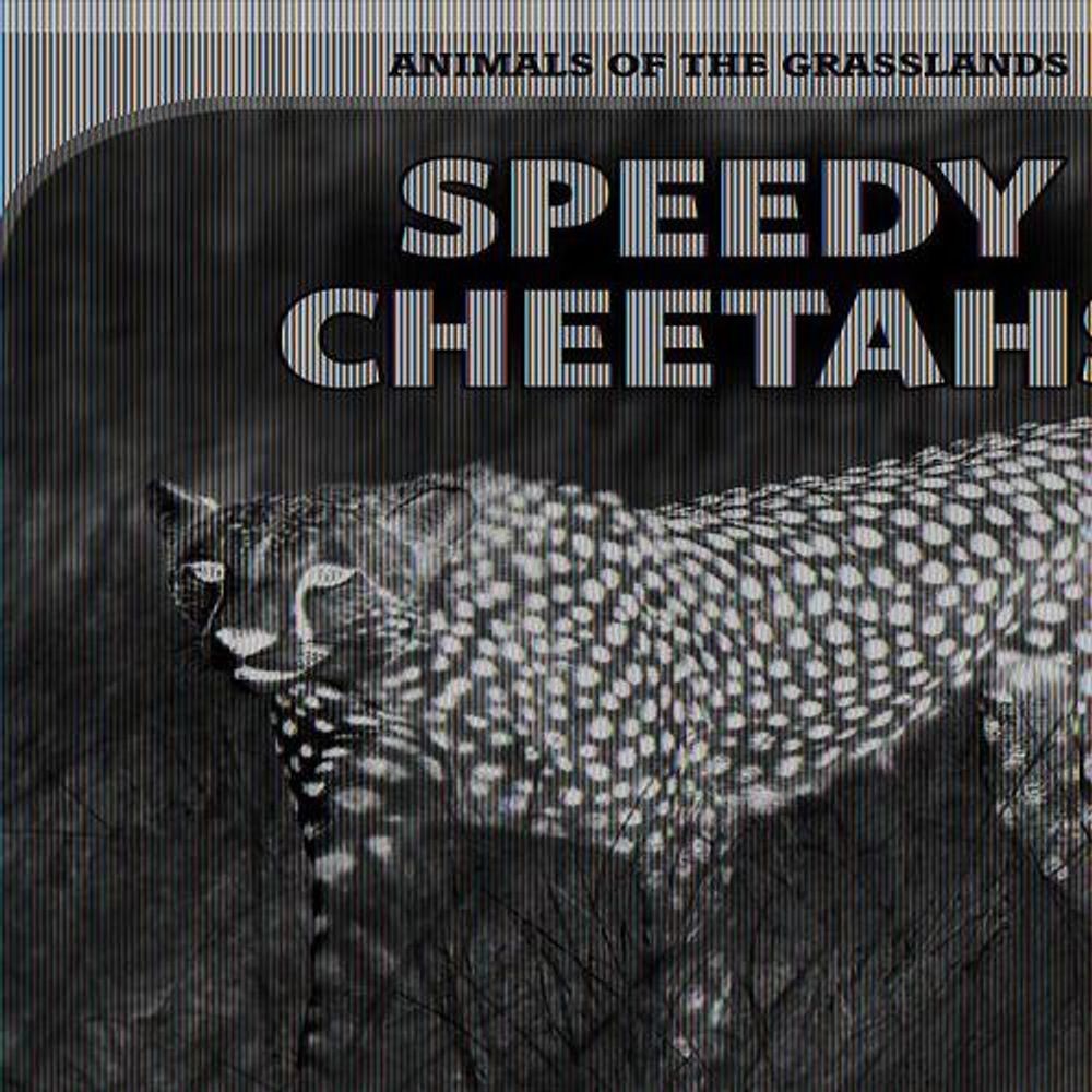 Speedy Cheetahs by Theresa Emminizer (English) Hardcover Book
