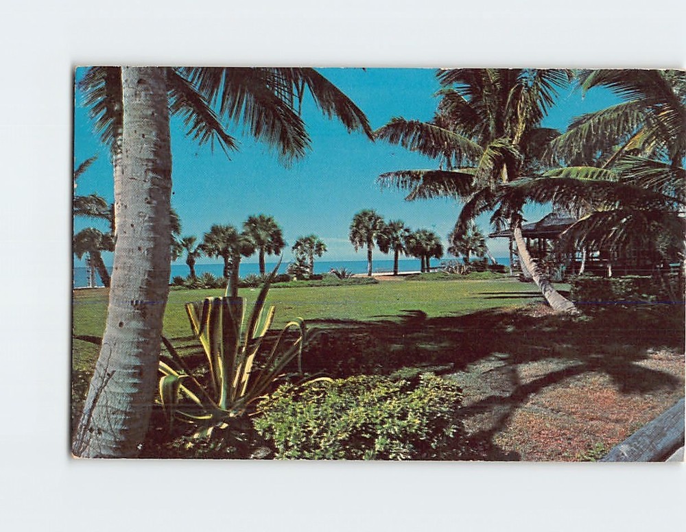 Postcard Beautiful Lowdermilk Park in Naples Florida USA