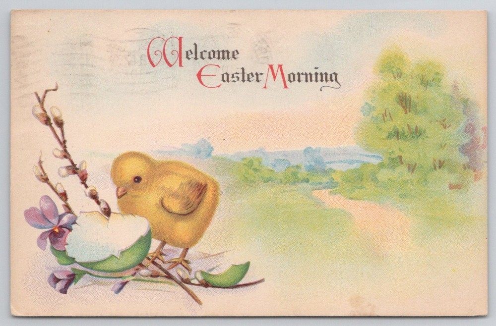 Welcome Easter Morning Chick Pussy Willow Postcard c.1910 Posted Athol MA