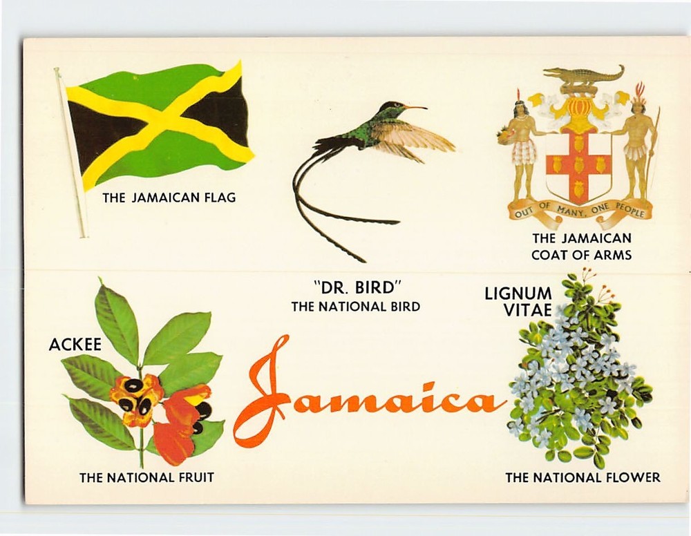 Postcard National Bird, Flower, Fruit, Flag & Coat of Arms of Jamaica