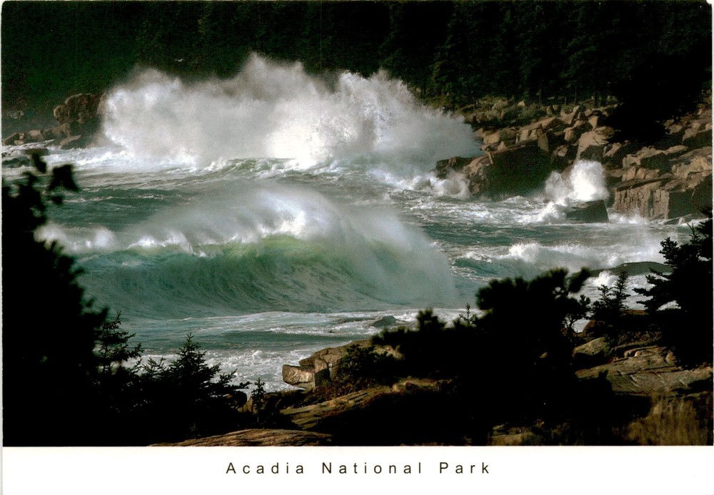 Acadia National Park, ocean drive, ED ELVIDGE, Southwest Harbor, Maine. Postcard-image
