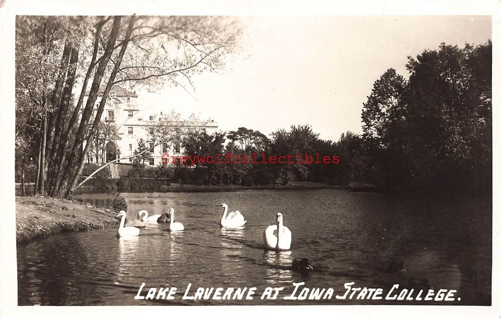 IA, Ames, Iowa, State College, Lake Laverne, RPPC