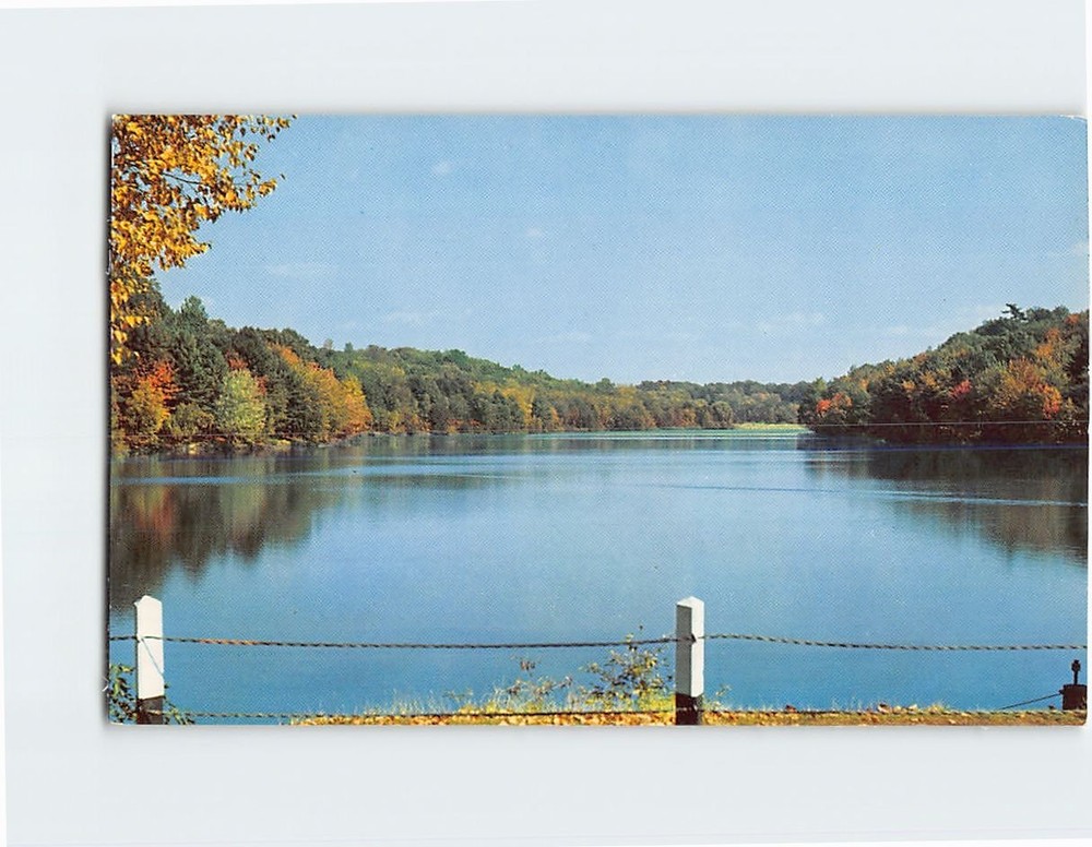 Postcard Forest Park Brook Springfield Massachusetts USA