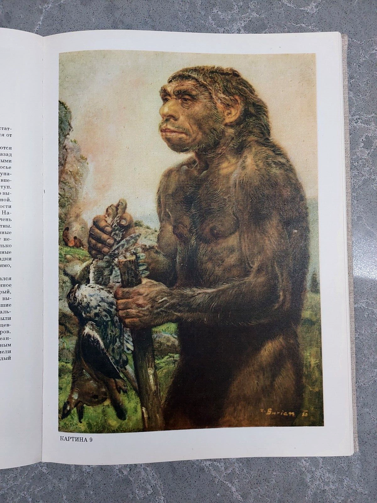 PREHISTORIC MAN Book Vintage Edition by Josef Augusta and Zdenek Burian