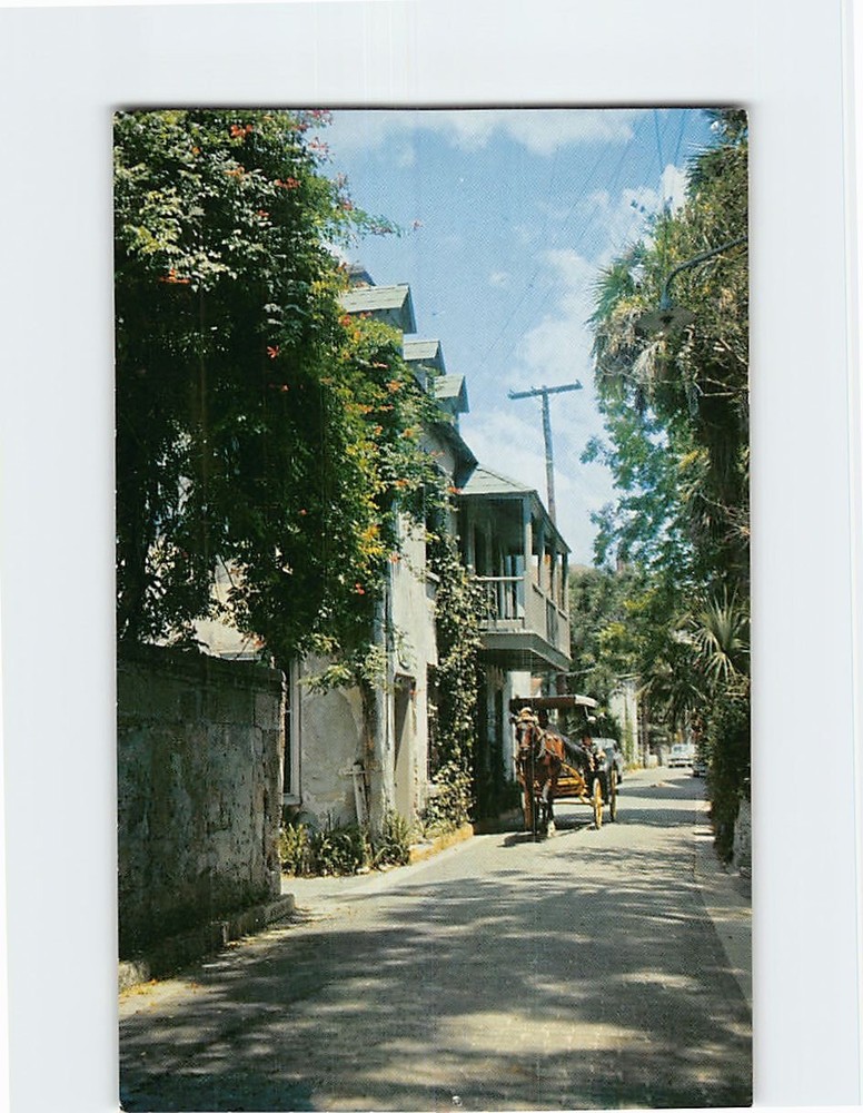 Postcard Horse-drawn Surrey Aviles Street St. Augustine Florida USA