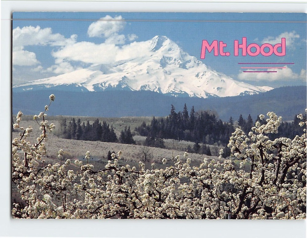 Postcard Mt. Hood Oregon USA