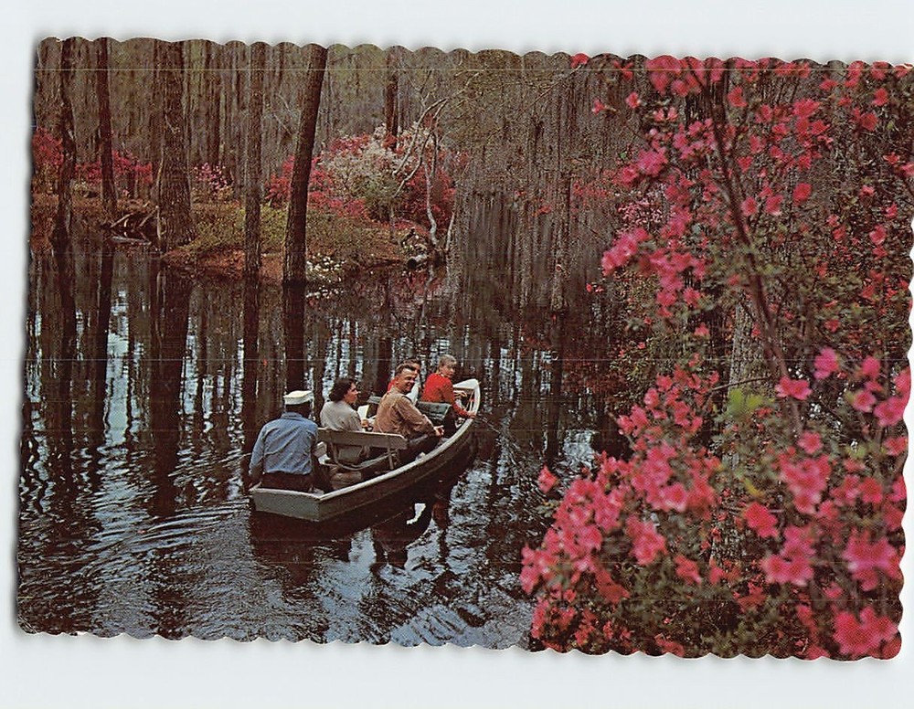 Postcard Cypress Garden Charleston South Carolina USA