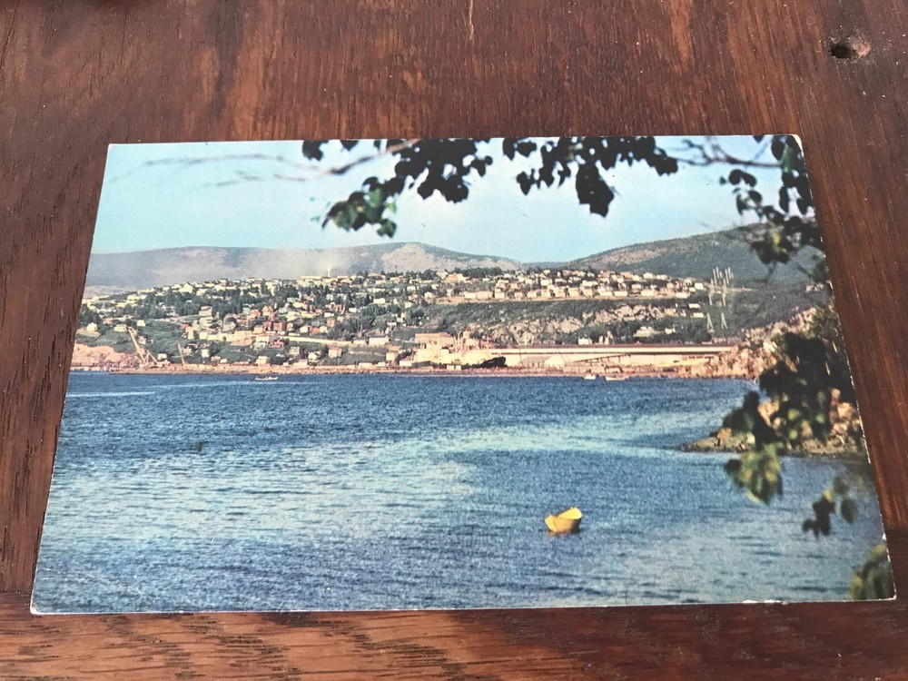 Corner Brook as seen from Humber Arm Bay of Islands Newfoundland Canada Postcard