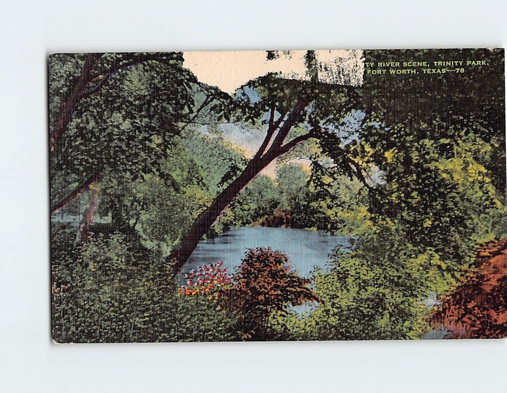 Postcard Trinity River Scene Trinity Park Fort Worth Texas