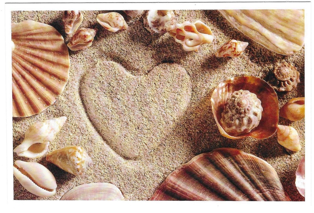 NEW Nautical Seaside Beach Ocean Coastal Themed Postcard