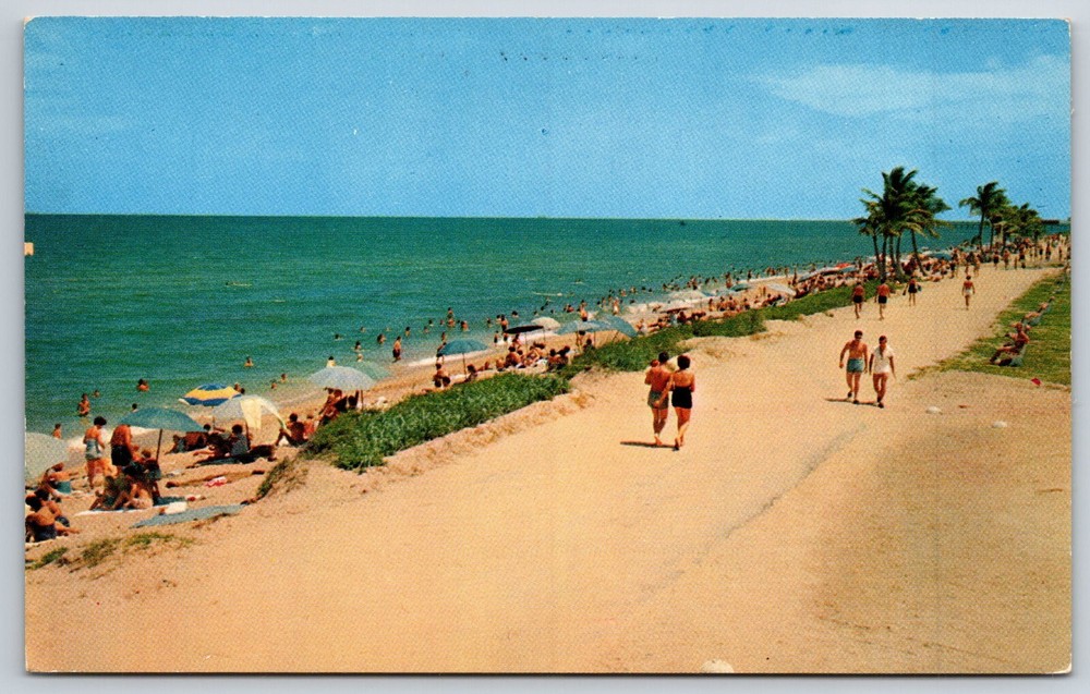 Miami Beach Florida~Day Of Fun @ Haulover Park Color Photo~Vintage Postcard