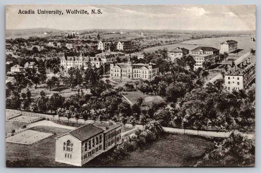 Acadia University. Wolfville, Nova Scotia Postcard-image
